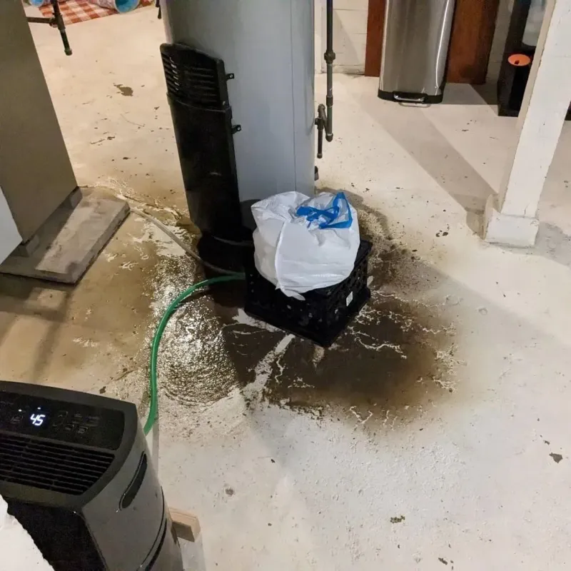 Sewage Backup Cleanup Service in Silver Hill, MD